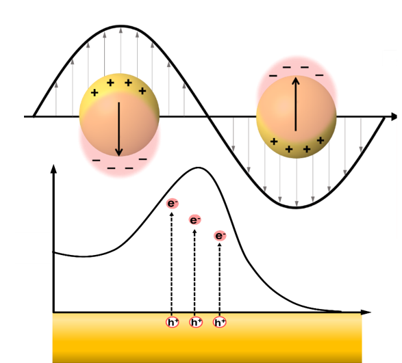 Au nanoparticle in resonant oscillation with incident light showing the generation of the localized surface plasmon. This generates hot electrons and holes, when at the resonant frequency as depicted by the extinction spectra.