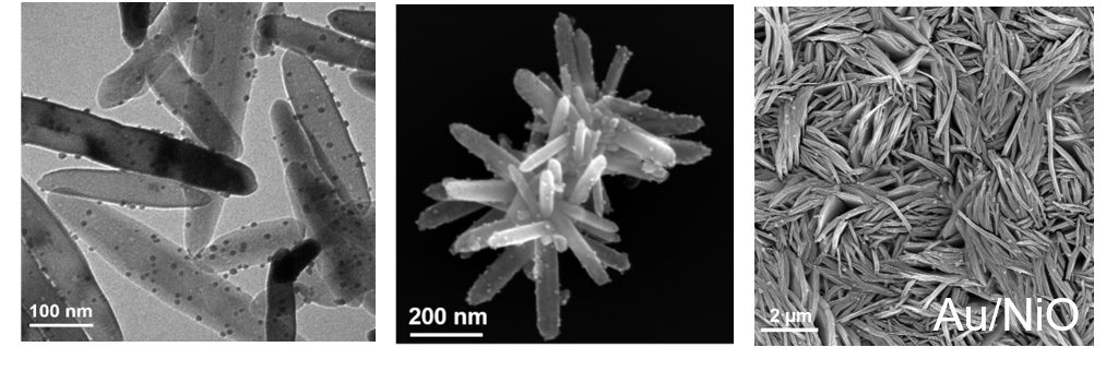 Electron microscopy images of Au/TiO2, Au/ZnO and Au/NiO heterostructures