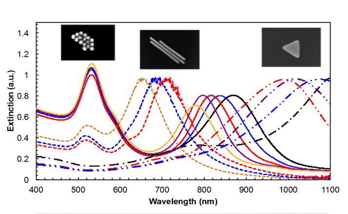 Line graph of optical extinction (arbitrary units) versus wavelength from 400 to 1100 nanometers. Multiple colored curves (solid and dashed) represent different nanoparticle samples. All curves show a prominent peak near ~520–550 nm. Additional peaks shift to longer wavelengths depending on particle shape: mid-range peaks around ~650–750 nm and broader peaks extending into the near-infrared (~800–1100 nm). Three inset images at the top illustrate the particle shapes corresponding to the curves: clustered spheres (left), elongated rods (center), and a triangular plate (right). The figure shows that particle geometry affects the position and width of extinction peaks, with more elongated or anisotropic shapes producing red-shifted (longer-wavelength) responses.